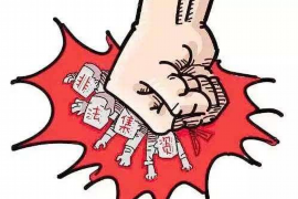 石鼓为什么选择专业追讨公司来处理您的债务纠纷？