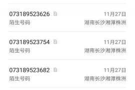 石鼓专业催债公司的市场需求和前景分析